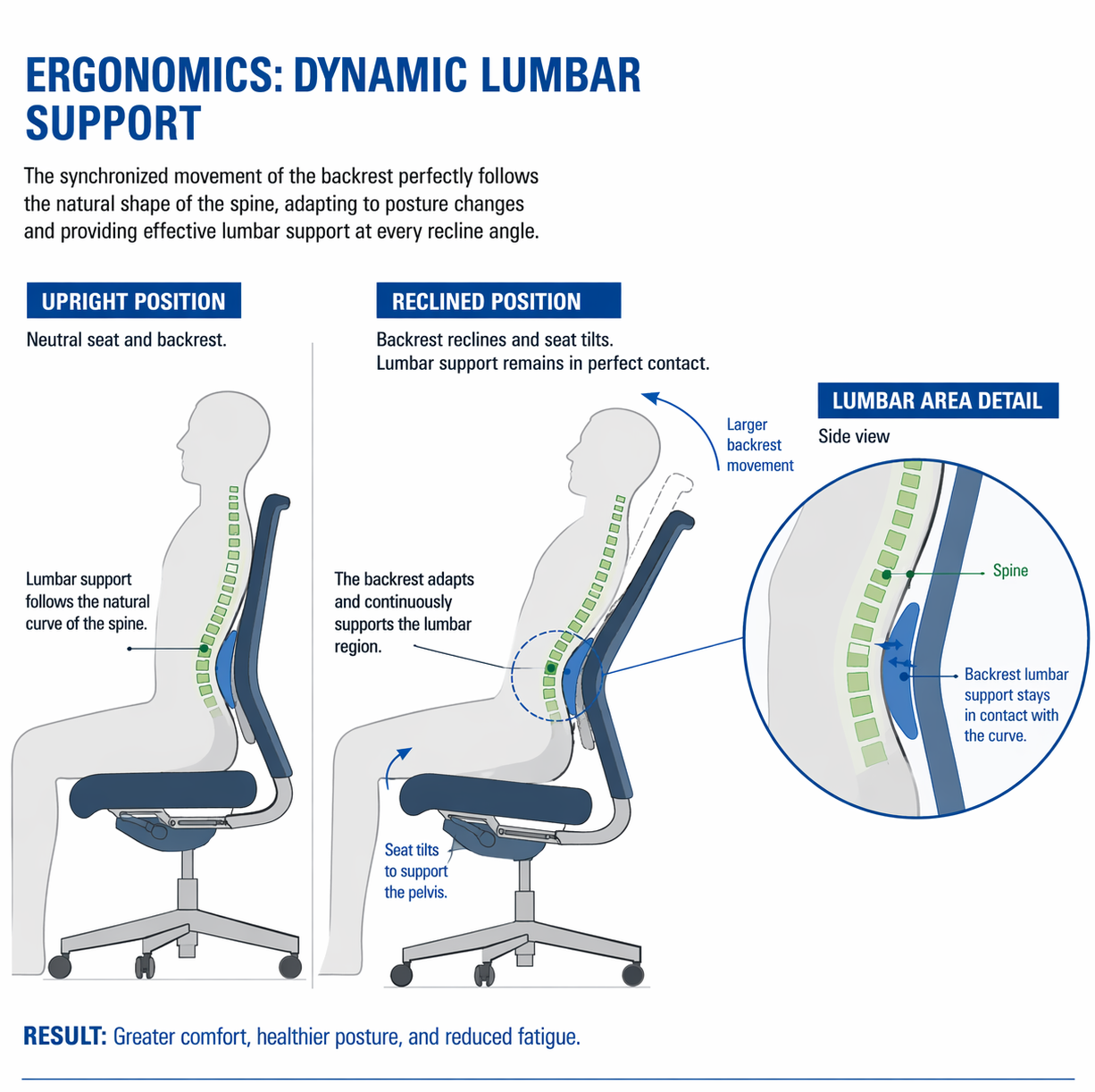 Diagram comparing upright and reclined position lumbar support